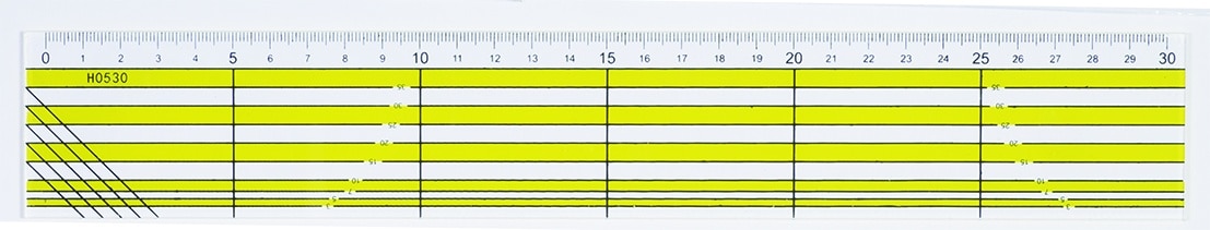 Regla 30 cm 099241R