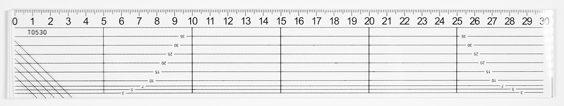 Regla 30 cm 099273